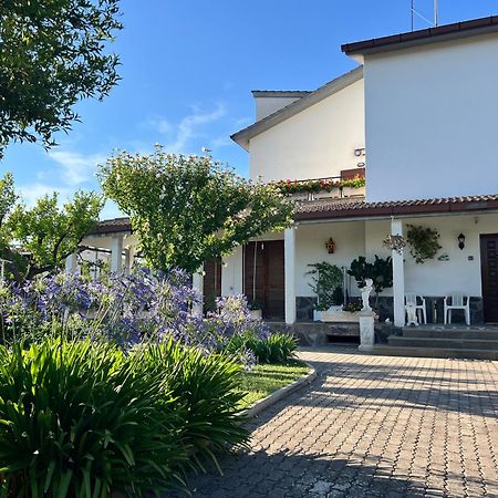 Giardino Degli Aranci B&B La Massimina-Casal Lumbroso Exterior foto