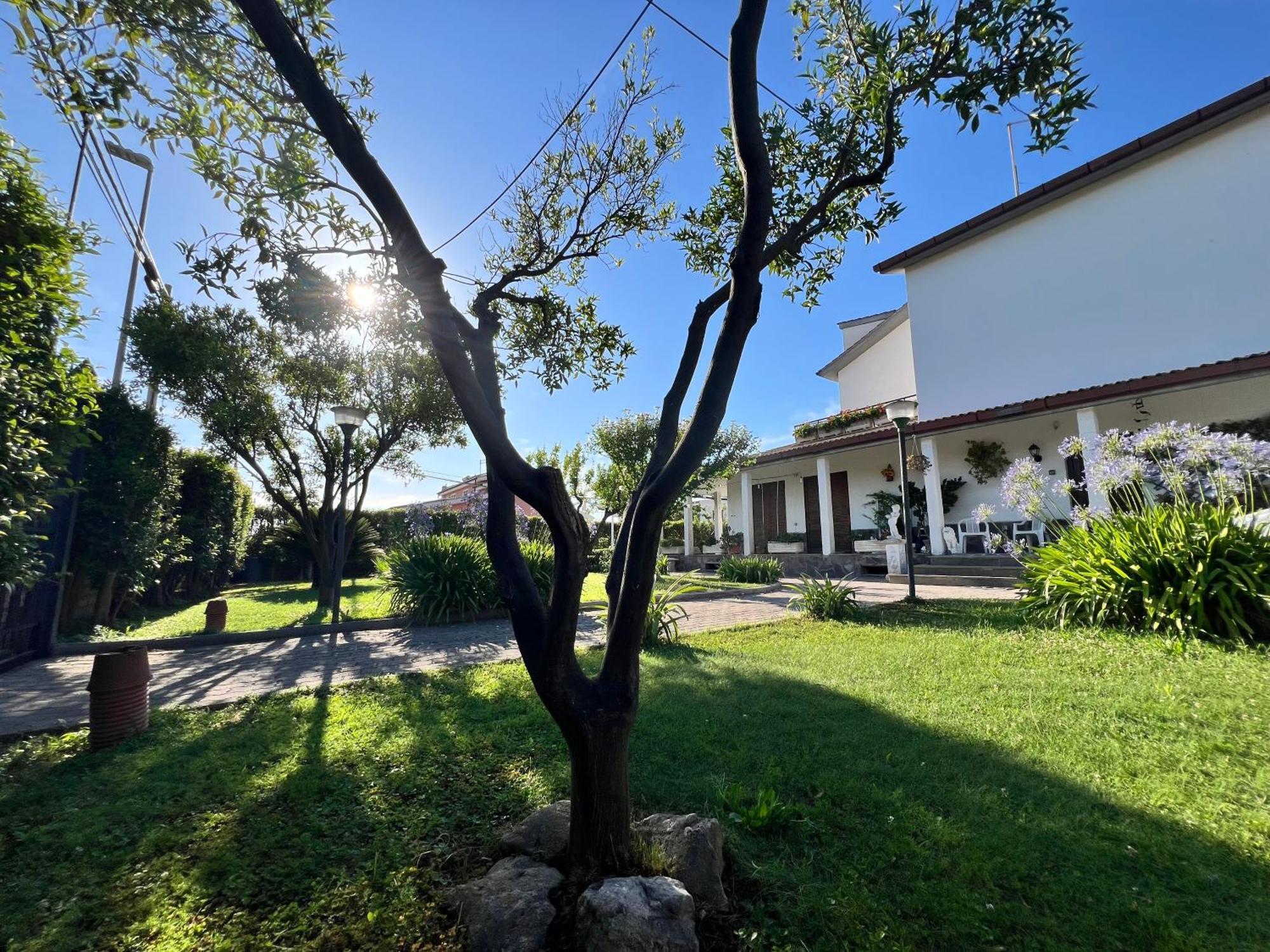 Giardino Degli Aranci B&B La Massimina-Casal Lumbroso Exterior foto