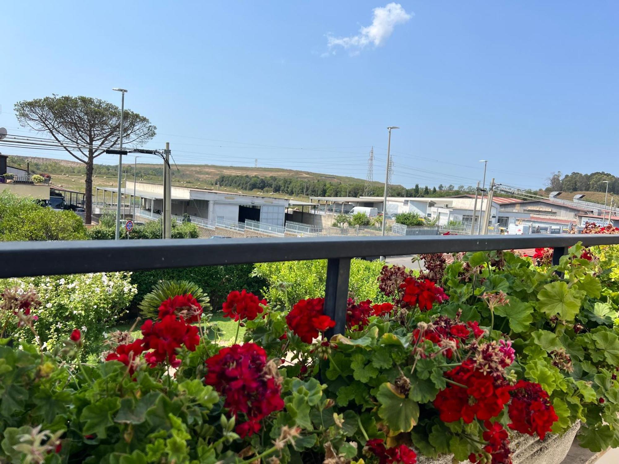 Giardino Degli Aranci B&B La Massimina-Casal Lumbroso Exterior foto
