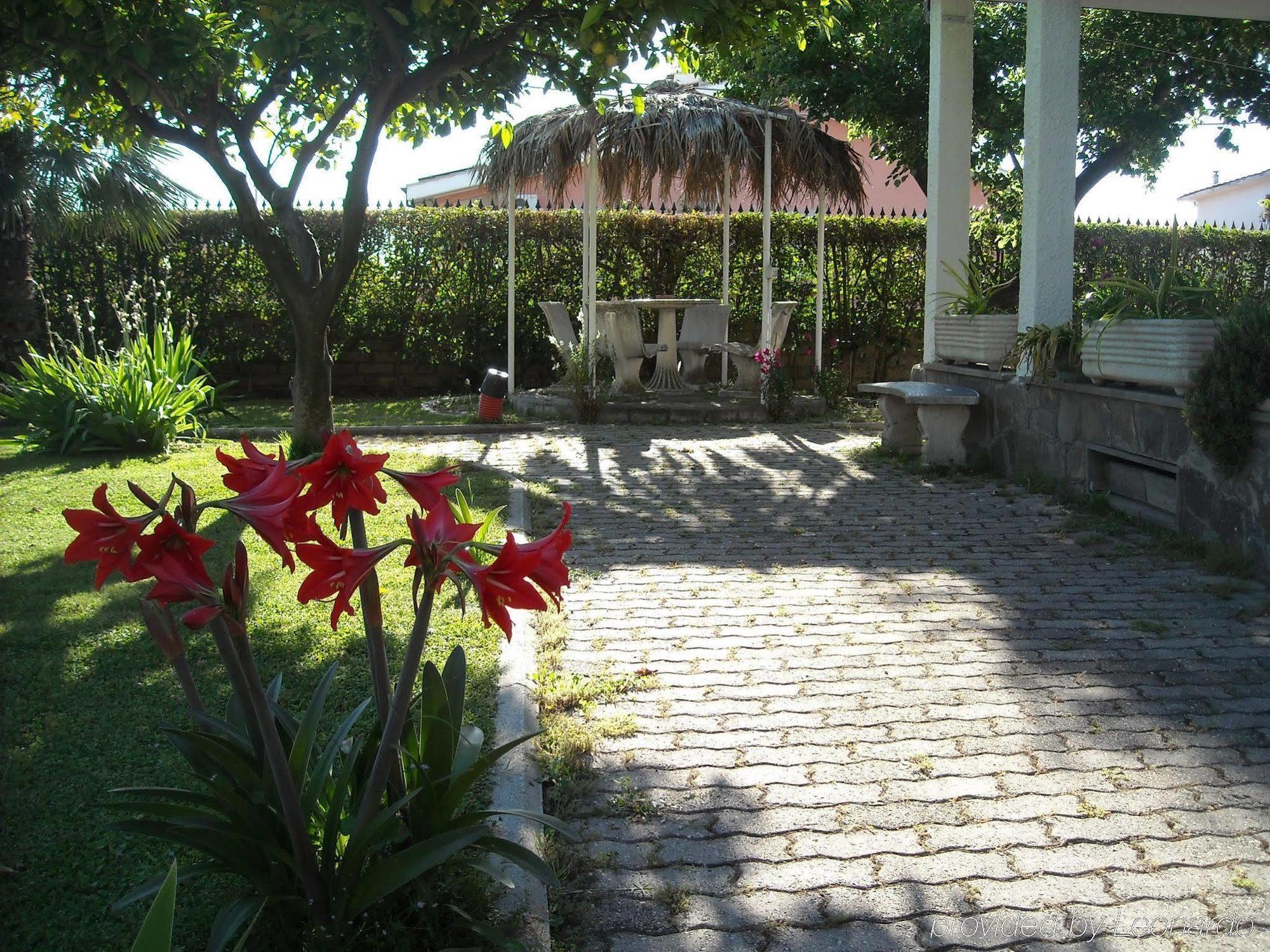 Giardino Degli Aranci B&B La Massimina-Casal Lumbroso Exterior foto